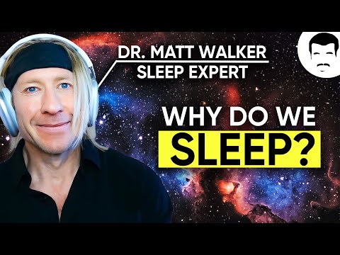 The Paradox of Sleep with Matthew Walker & Neil deGrasse Tyson