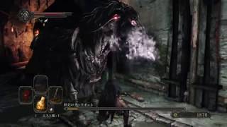 【PS4】【DARK SOULS Ⅱ】sl1 #10 刑吏のチャリオット