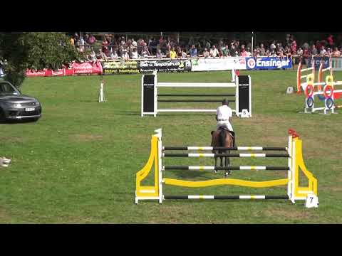 Karesse de Jucaso 10 jährige Stute Cooper v d Heffinck x Darco S** gewonnen