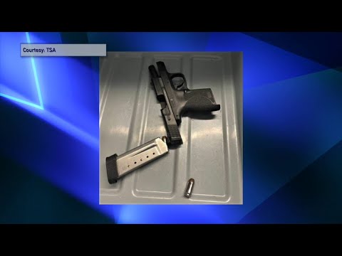 T. S. A. Officers Prevented the Movement Of 5,000 Guns In One–Year Nationally