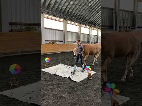 D.F. I've Got Rhythm video 7