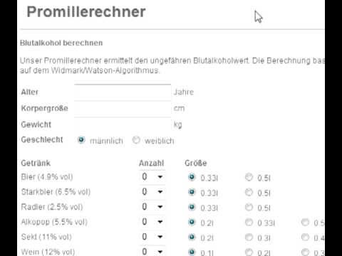 Promille Rechner