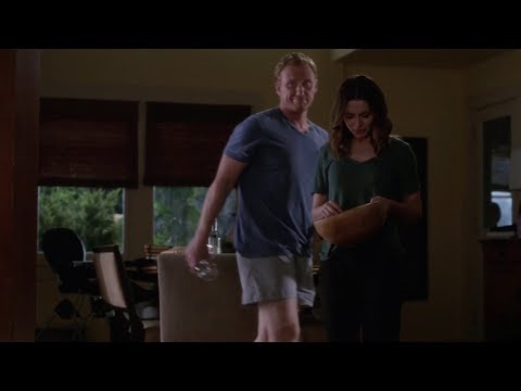 Owen and Amelia - 14x15 - Old Scars, Future Hearts - Scene 2