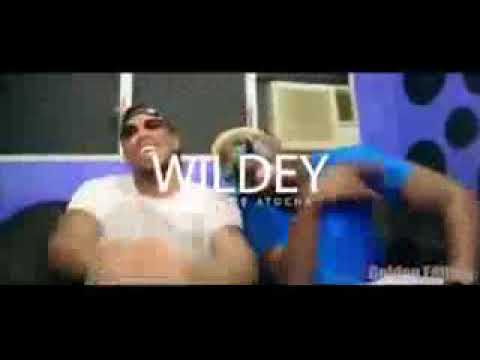 Wildey FT Alvaro la figura-Tu andas regala