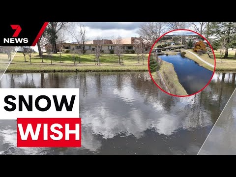 Small town of Stanthorpe has swelled with tourists | 7NEWS