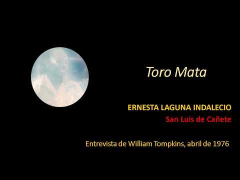 TORO MATA DE ERNESTA LAGUNA INDALECIO. SAN LUIS DE CAÑETE, REC. POR WILLIAM TOMPKINS