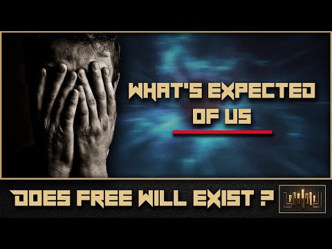 What's Expected of Us 🎧: Powerful Short Story on Free Will by Ted Chiang