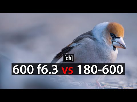 Nikon 600mm f6.3 vs. Nikon 180-600 – 3 times as expensive, 3 times as good? feat @MarkusFahs-lich...