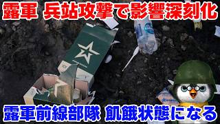 【ペンギン閣下】兵站攻撃が効いている！【国際情勢】