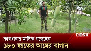 নারায়ণগঞ্জ সদর উপজেলায় নানা জাতের বিদেশি আমের গাছ