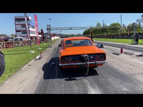 Gianni - 6767 TO/TS - Pista sem Tratamento.