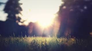 8K BACKGROUND VIDEO || NO WATERMARK || NO COPYRIGHT