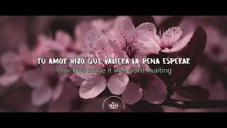Frank Sinatra - Everybody Loves Somebody // Subtitulada - Lyrics ( Español / ingles ) Video Oficial