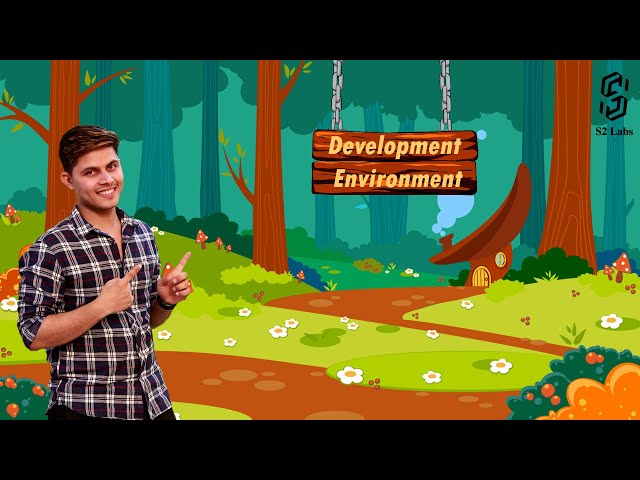 An Overview of Development Environments in Salesforce