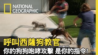 [問卦] 有訓貓師這種職業嗎？