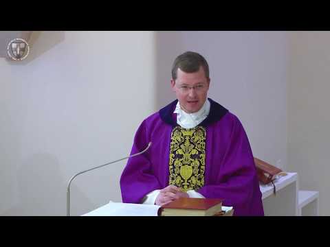 Zeugen für Jesus | Predigt der Montagsmesse