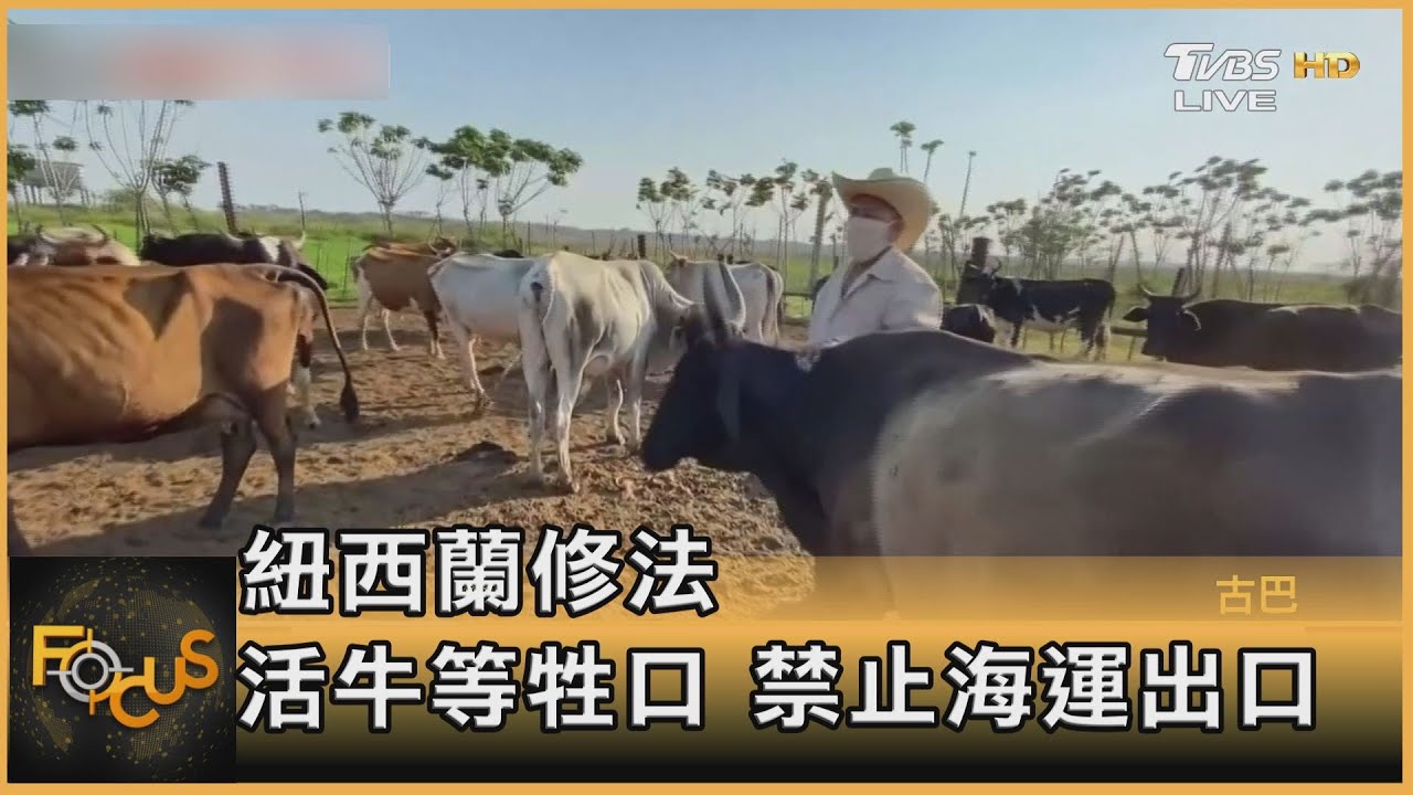 紐西蘭修法　活牛等牲口.禁止海運出口