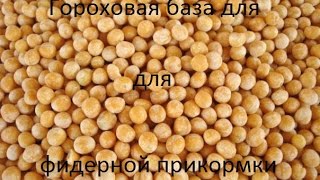 Прикормка из гороха для ловли на фидер