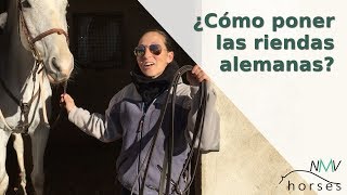 ✅Cómo poner las riendas alemanas a tu caballo✅I PASO A PASO