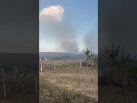 INCÊNDIO EM BREJINHO
