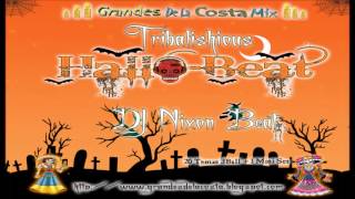 14.- DJ Nixon Beat_-_(Tribalishious - Guerrero - Mexico) -  Grandes de la Costa Mix