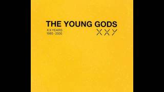 The Young Gods- Supersonic (AL Mix by A.Monod)