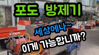 #샤인머스켓년생재배기술 #포도방제기방제작업 #과일시설대형비가림비닐하우스