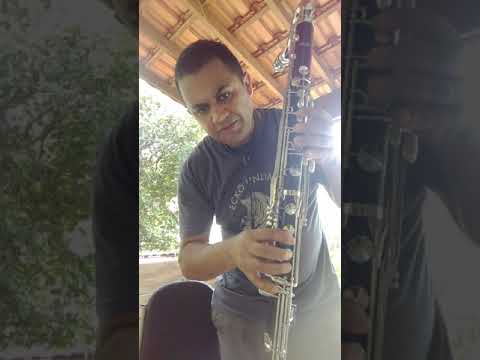 2 Chaveamento Clarones Alto e Baixo 1197375-0151