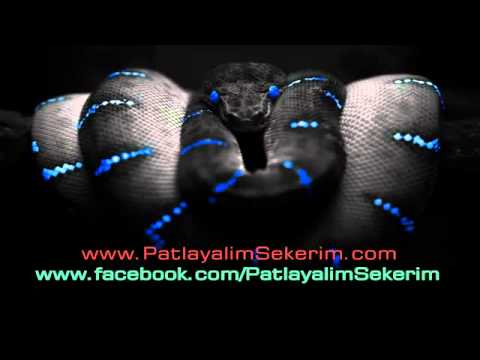 Dj Gökhan. Patlamalık
