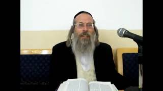 הרב אליהו גודלבסקי | כח המושך  וכח המכריח - שיעור מלא.