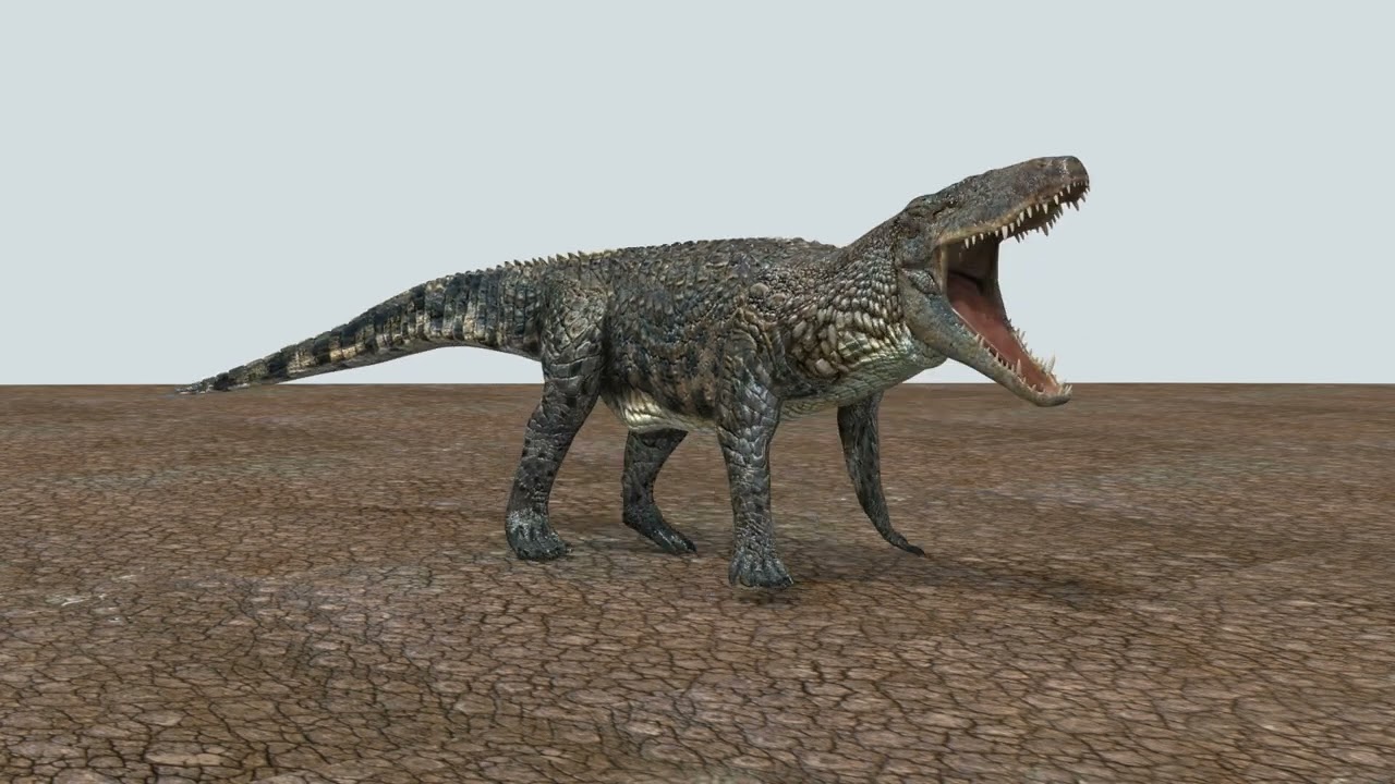 Postosuchus Barinasuchus Fasolasuchus HD - animato in 3D Modello 3D