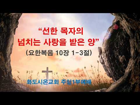 (부활절 4-1) 선한 목자의 넘치는 사랑을 받은 양 (영상)