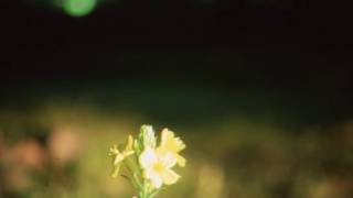 Steve Hauschildt - Time We Have