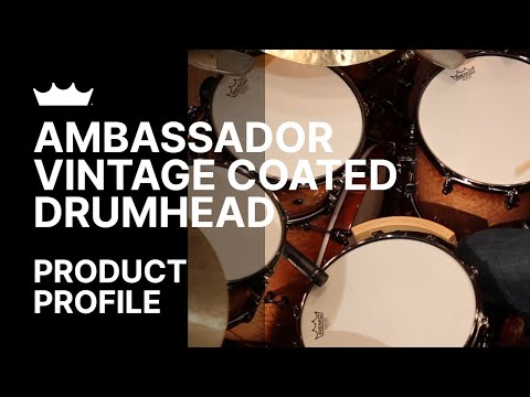 Zuhal Youtube Videos