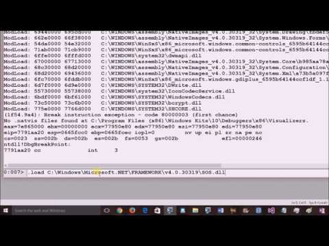 how to print a .NET object state using !do command in WinDBG
