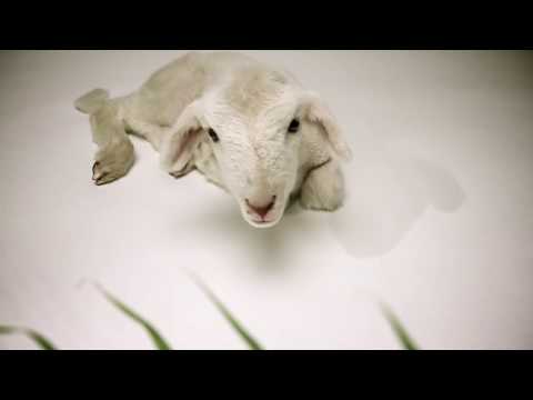 The real meaning of Palm Sunday.