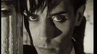 Bauhaus   She&#39;s In Parties