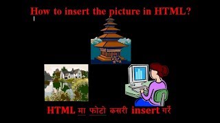 How to insert the picture or photo in HTML