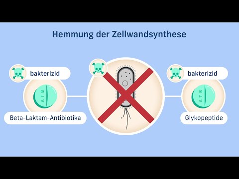 Mechanisms of action of antibiotics