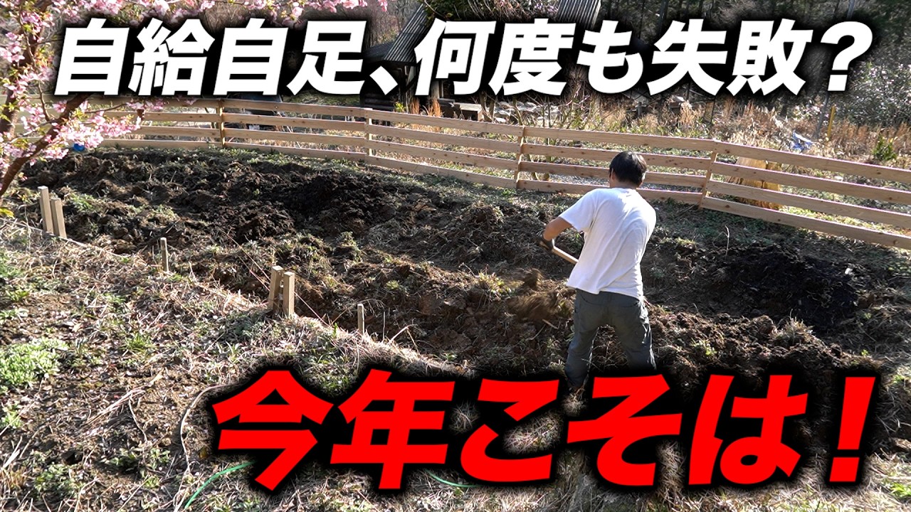野菜の自給自足、何度も失敗？今年こそは！！