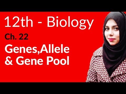 2nd Year Biology, Ch 22 - Genes,Allele and Gene Pool - 12th Class Biology