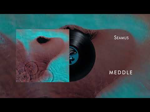 Pink Floyd - Seamus (Official Audio)