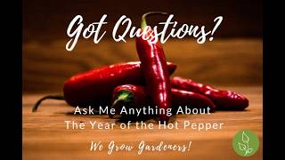Transform Your Hot Pepper Garden This Season #gardeningtips #plants #hotpepper #vegetables