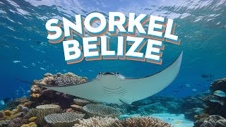 Dive into adventure at BELIZE'S Shark Ray Alley and Hol Chan Marine Reserve!