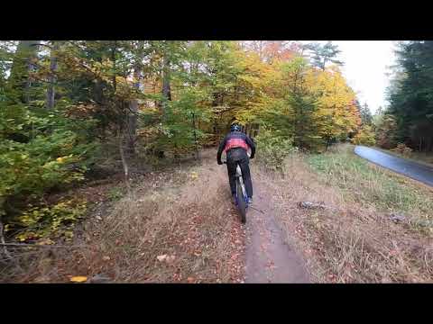 Flowtrail Bischofsheim