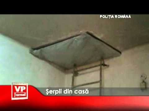 Şerpii din casă