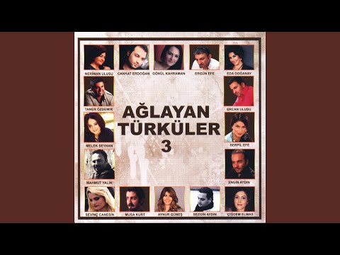 Video Yükleniyor...