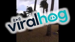 faze tari vartej pe plaja