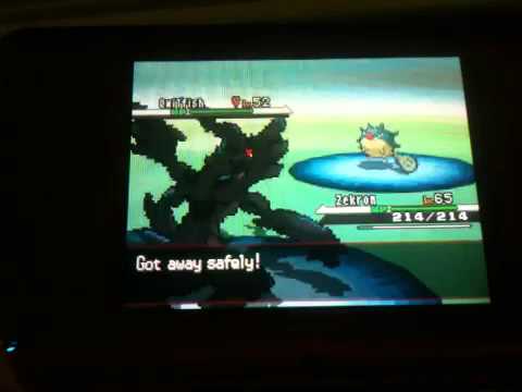 How to catch Kingdra