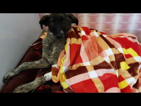 همین الان درکنار الهه خانوم 😔 Right now with Elahe